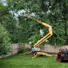 Best Storm Damage Tree Cleanup  in Osceola, IN